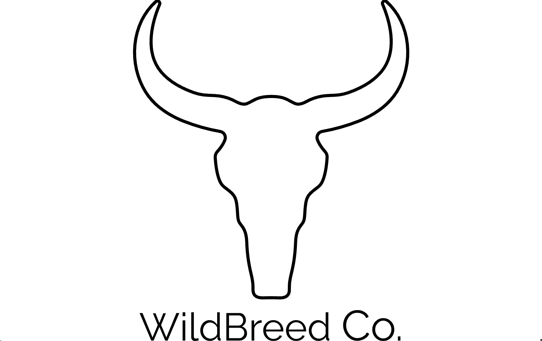 Minimalist logo: cow skull with large curved horns above the text 'WildBreed Co.'