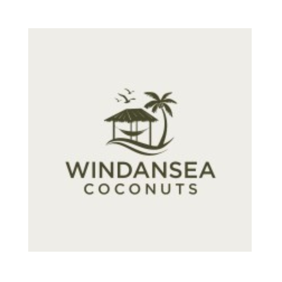 Windansea Coconuts